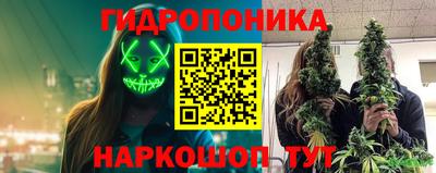 прущая мука Аша