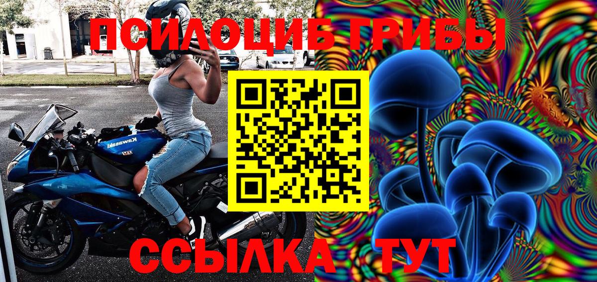 Псилоцибиновые грибы MAGIC MUSHROOMS  Вход с VPN  Псилоцибиновые грибы Psilocybine cubensis  Ессентуки 